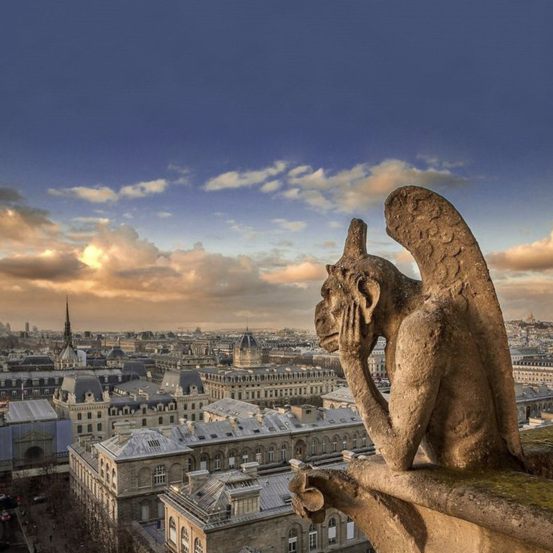 Gargoyles-Of-Notre-Dame-Earrings-By-Yonandole_13