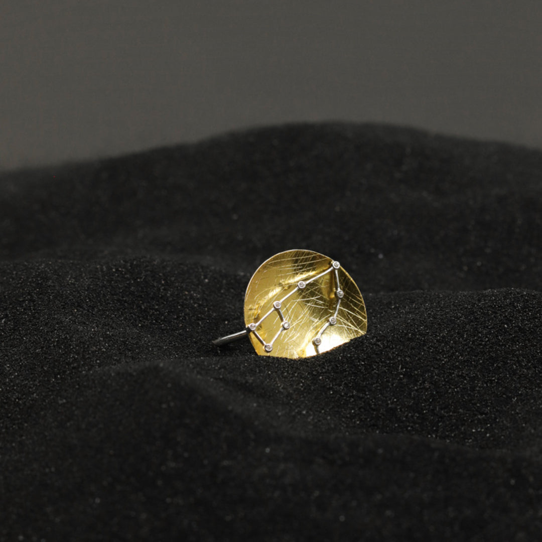 Ring-With-Telescopic-Dish-And-Zodiac-Sign-By-Yonandole_4