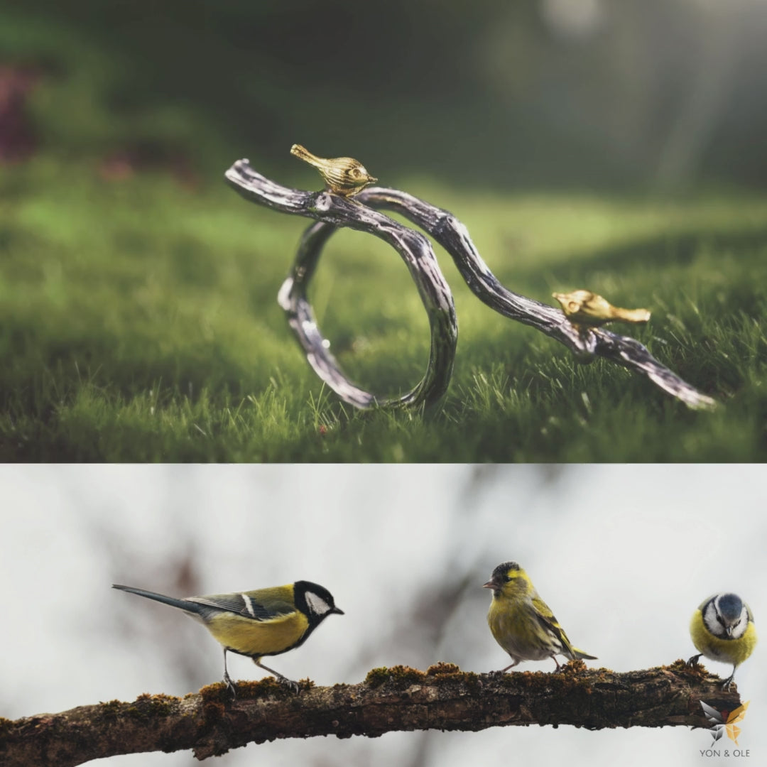 Branch-Ring-With-Tiny-Birds-By-Yonandole